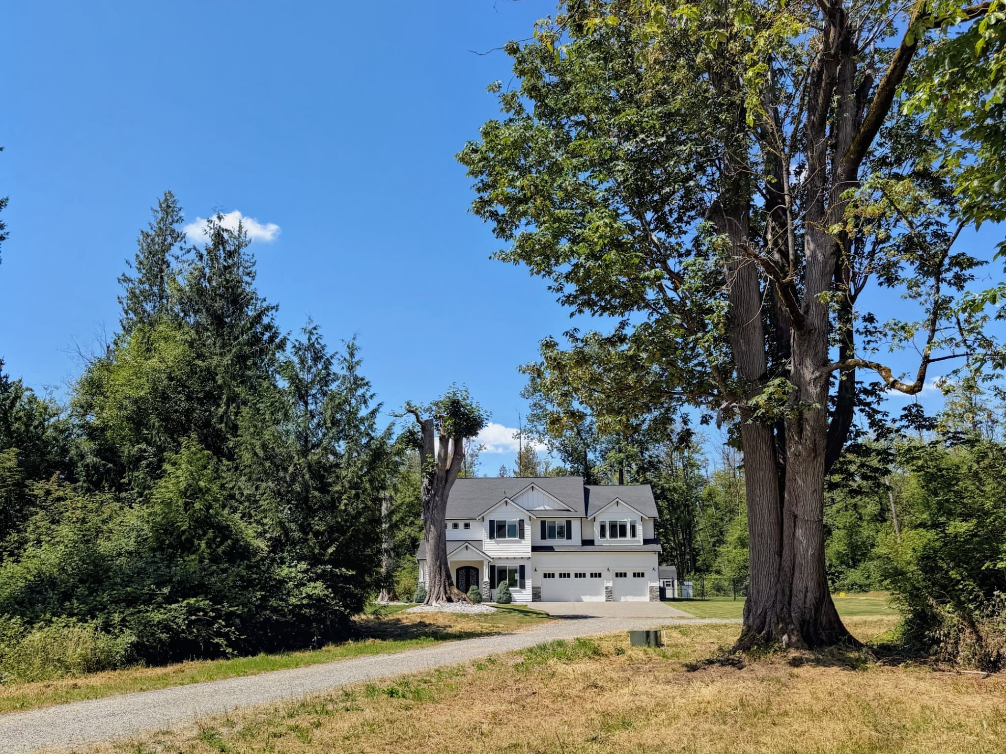 Private driveway approach framed by mature trees
