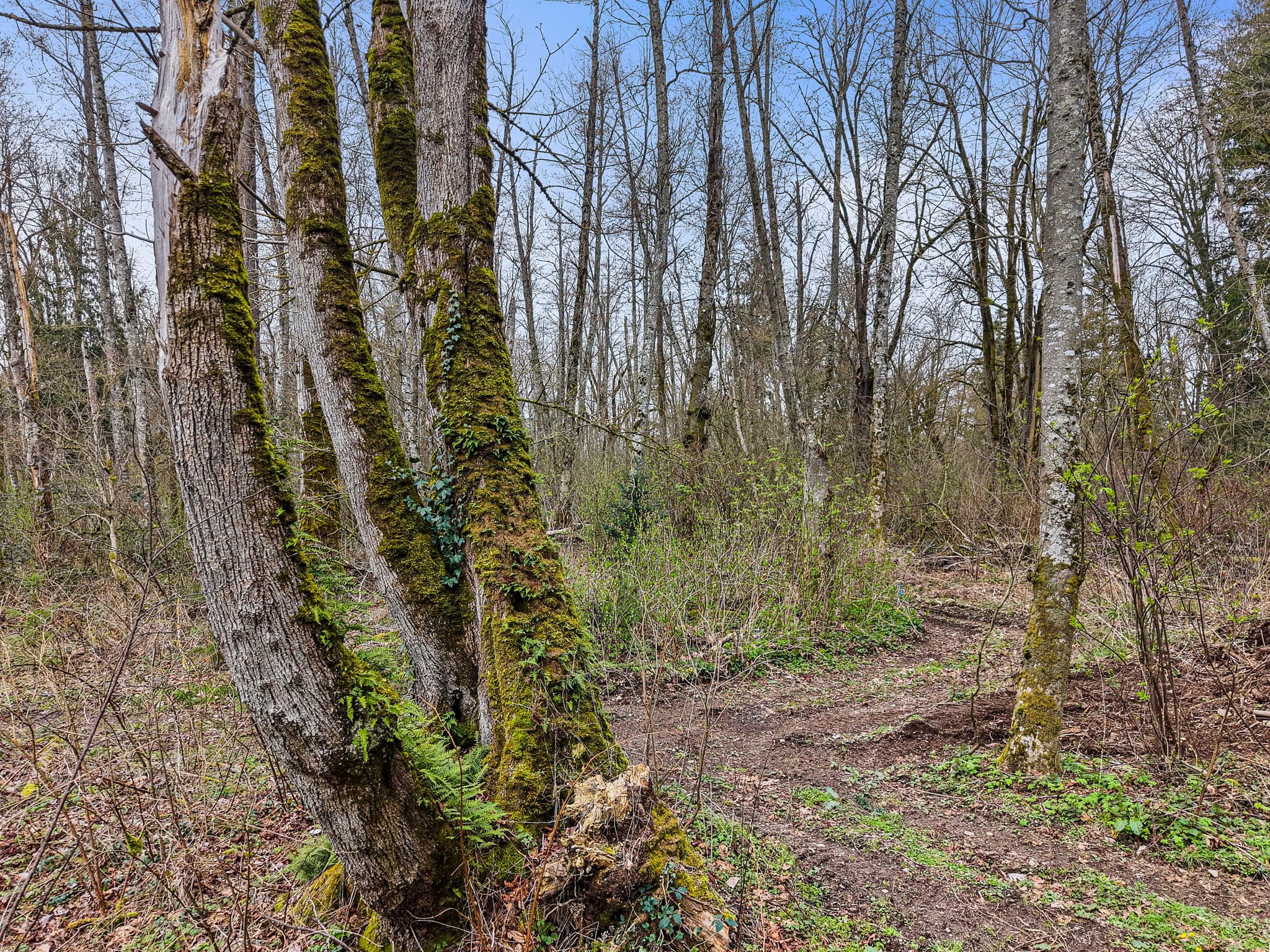 Spring greenery and private trails